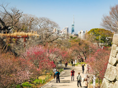 舞鶴公園