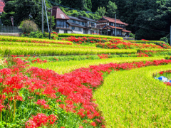 江里山棚田