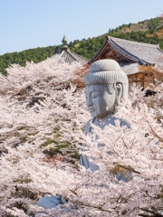 壺阪寺