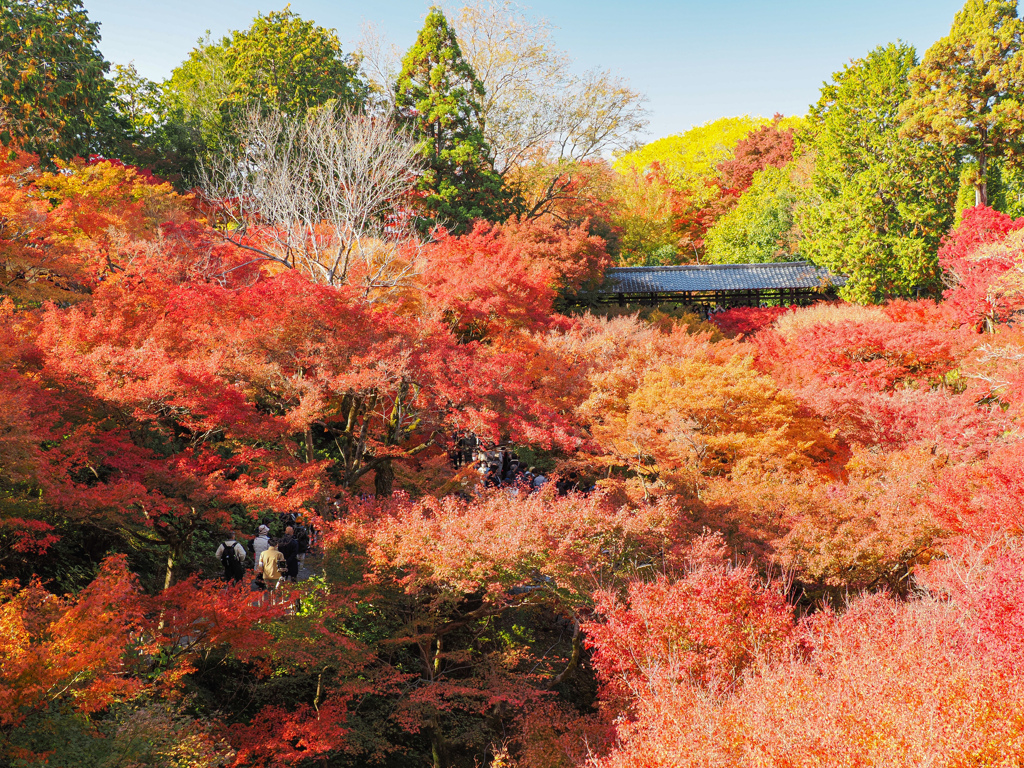 東福寺