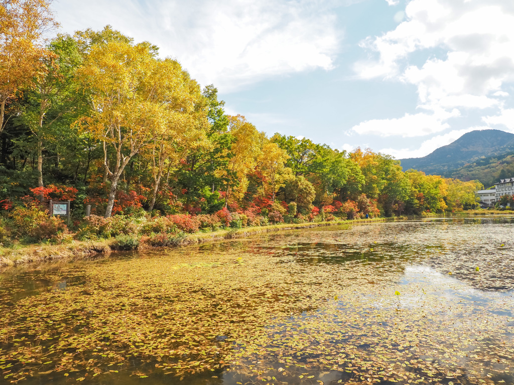 志賀高原　蓮池
