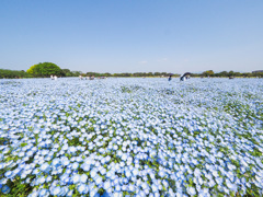 海の中道海浜公園