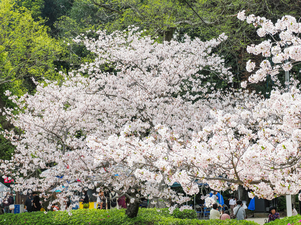 大村公園