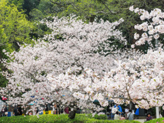 大村公園