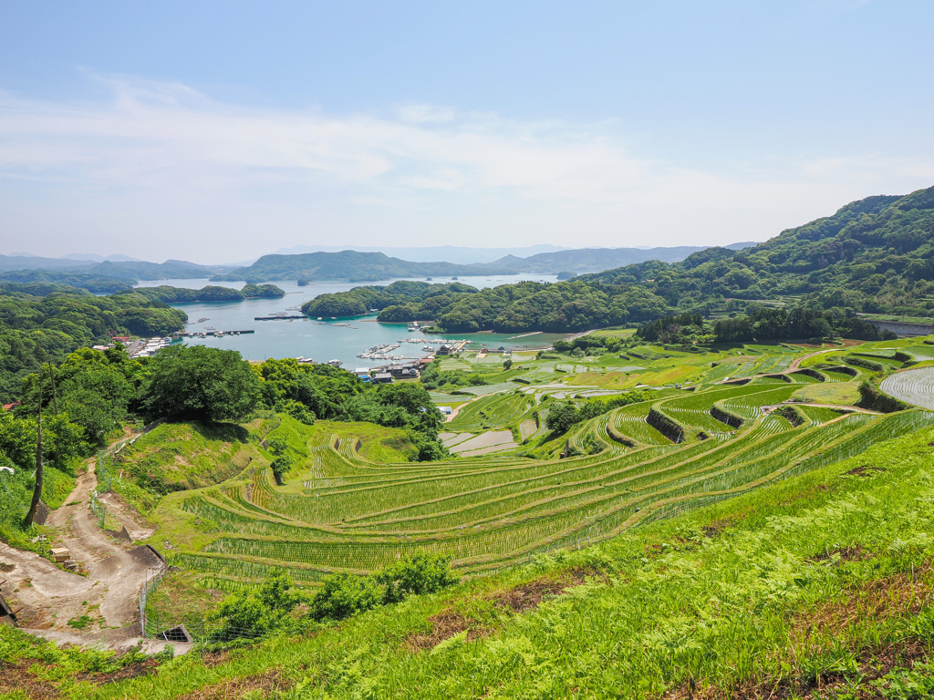 大浦の棚田