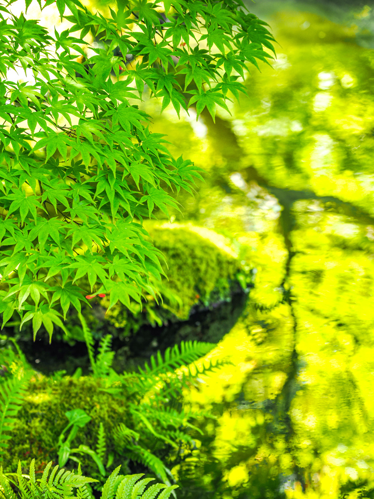 由志園