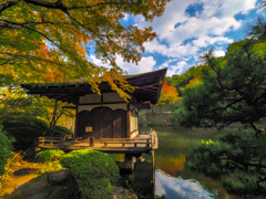 和歌山城庭園
