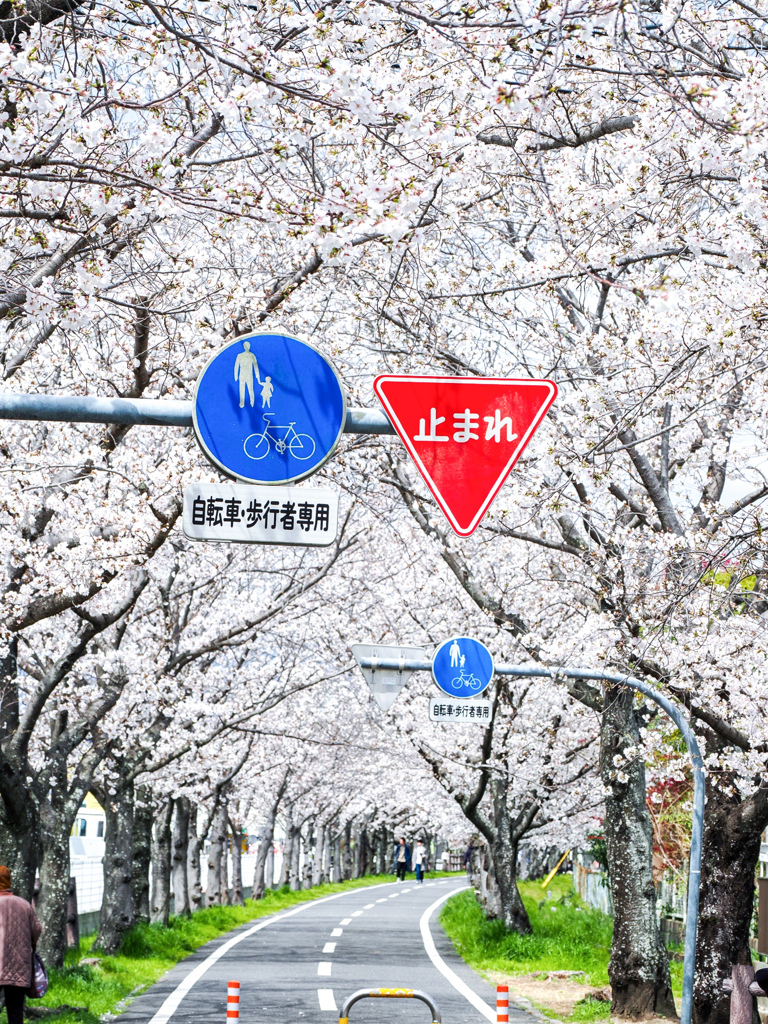 徐福サイクルロード