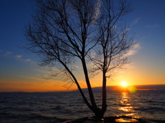 琵琶湖の夕日