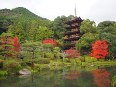 瑠璃光寺