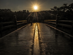 伊勢神宮の朝日