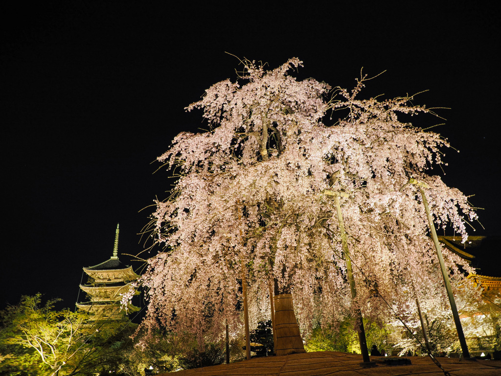 東寺ライトアップ