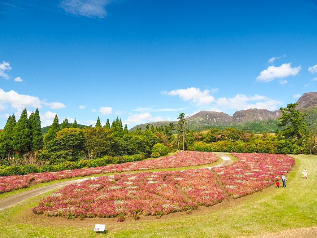 くじゅう花公園