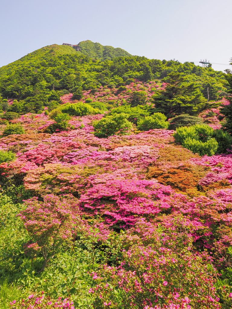 仁田峠