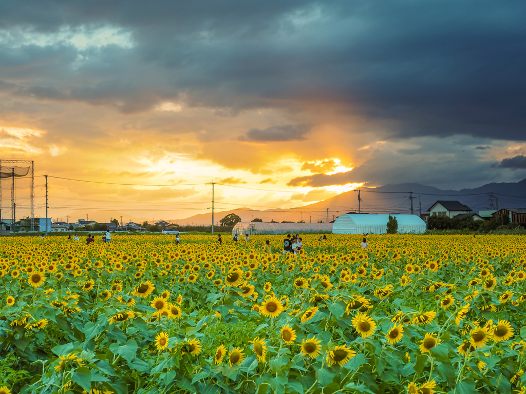 ひょうたん島公園