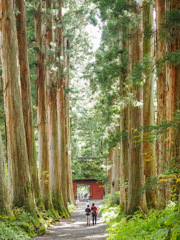 戸隠神社奥社山門