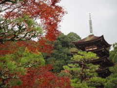瑠璃光寺