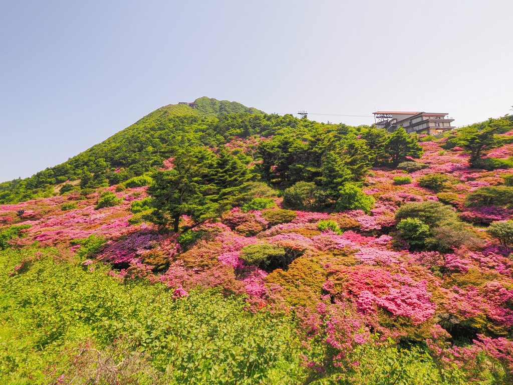仁田峠