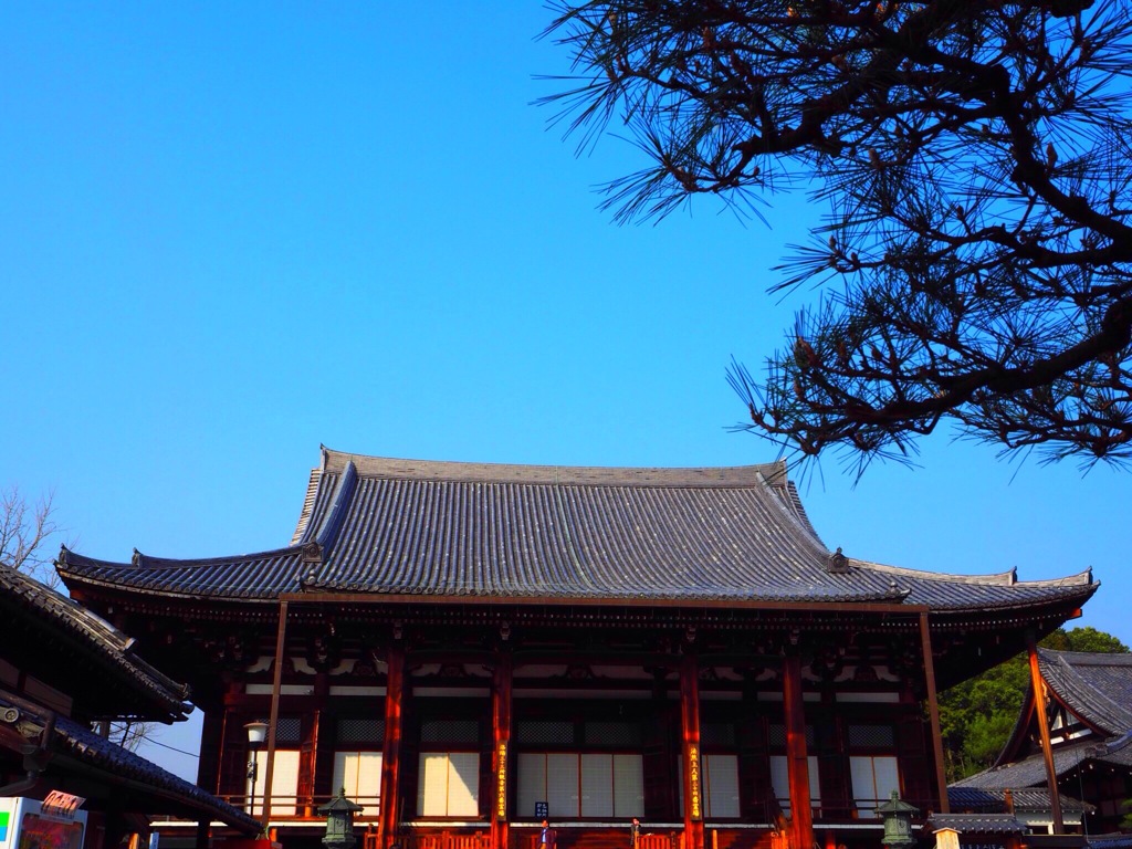 金戒光明寺