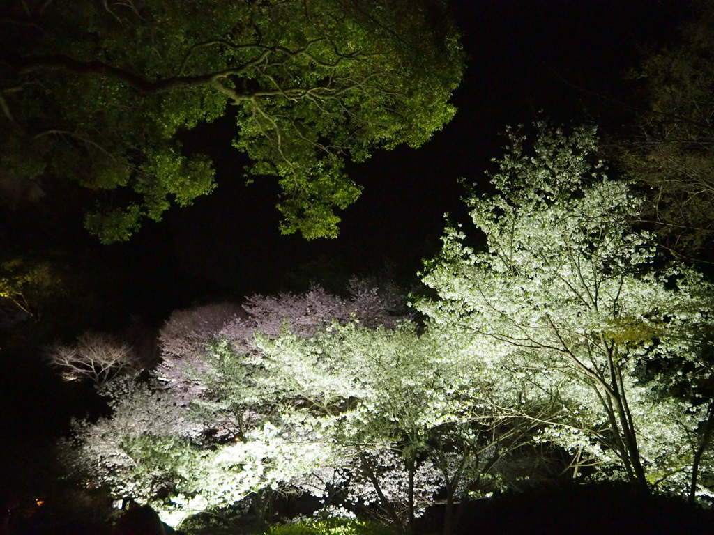 御船山楽園