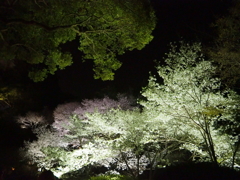 御船山楽園