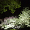 御船山楽園