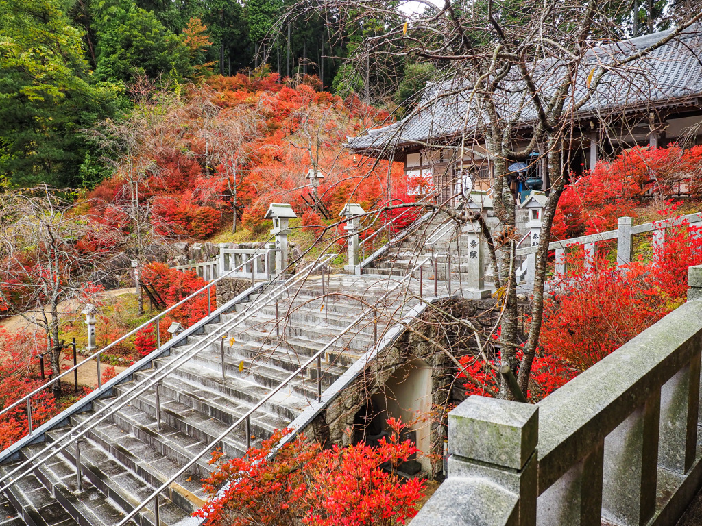 呑山観音寺