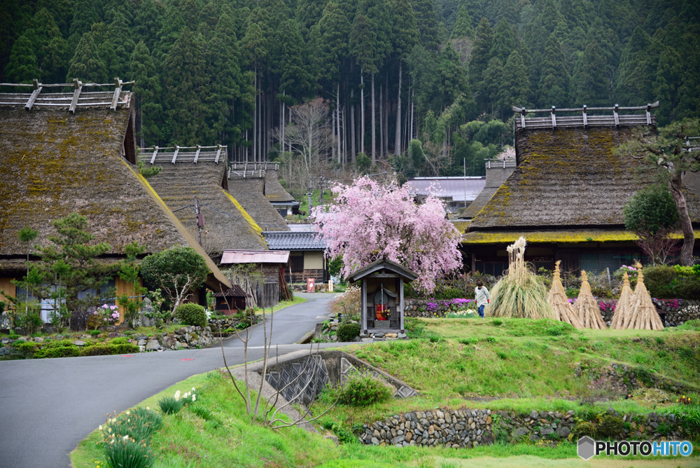 美山かやぶきの里