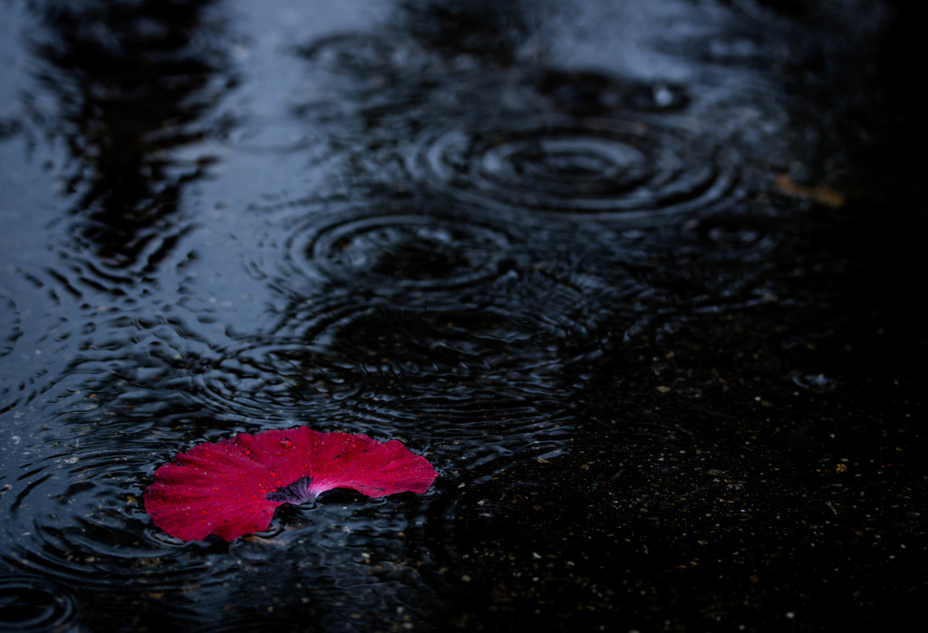 雨