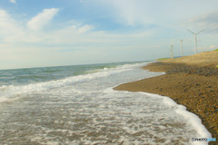 海