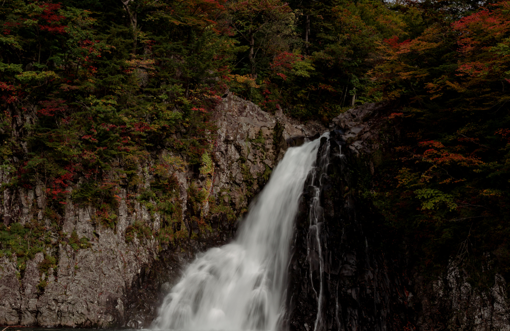 紅葉と滝