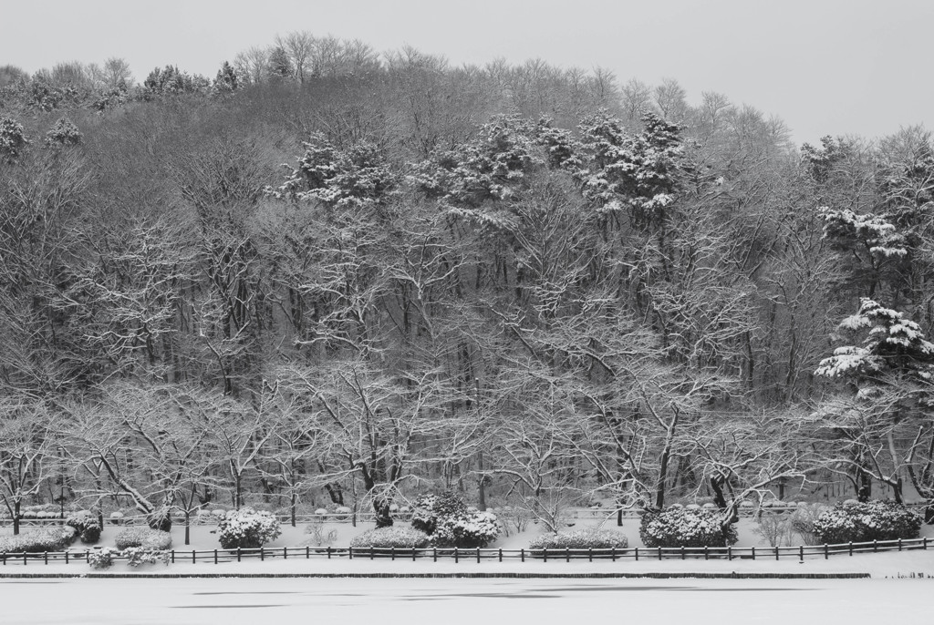 雪まみれ