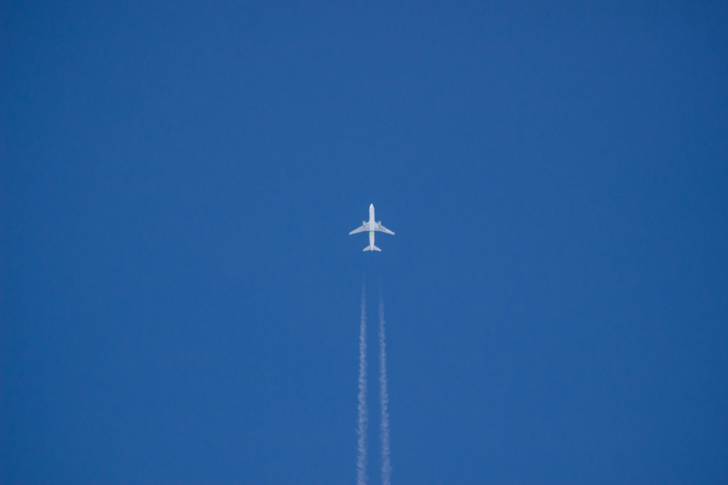 飛行機