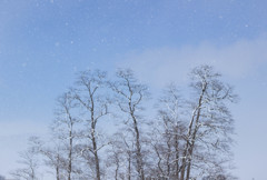 青空と雪