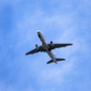 飛行機