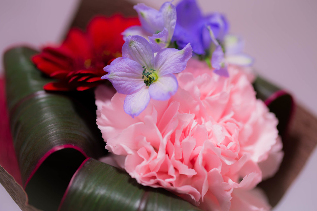 Flower　Gift