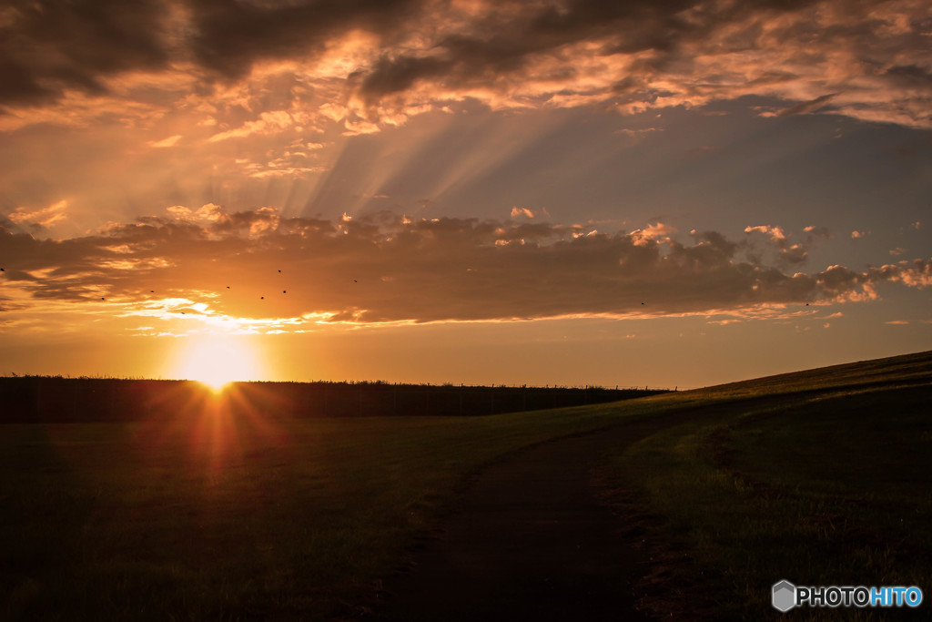 sunset