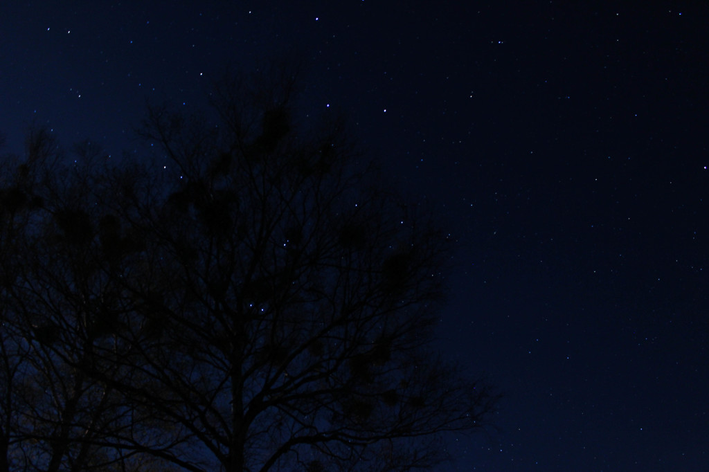 星