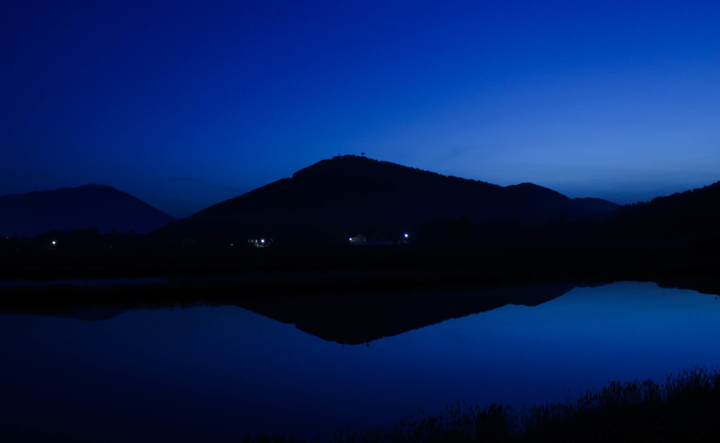 夜明け前の田んぼ