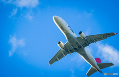 飛行機