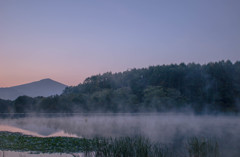 靄の壁