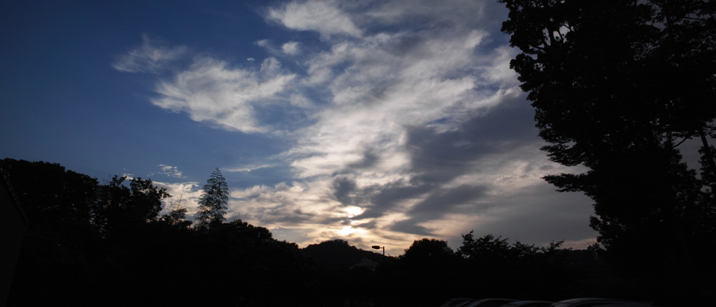 朝