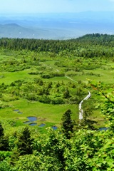 八甲田山湿地帯