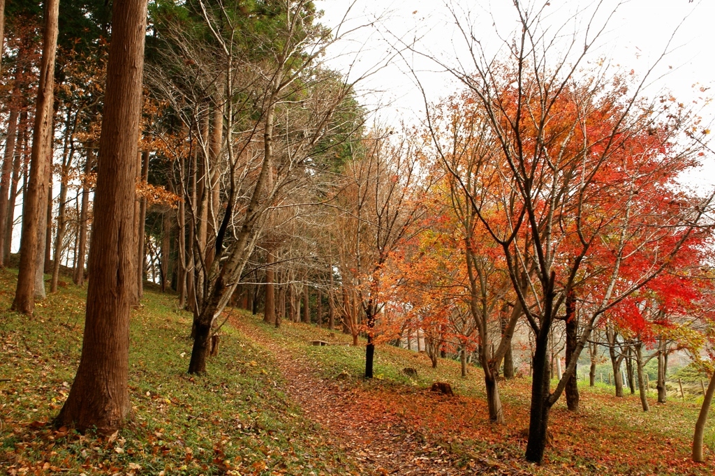 Autumn