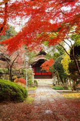 秋の寺院