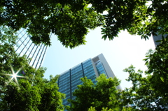 緑の額縁
