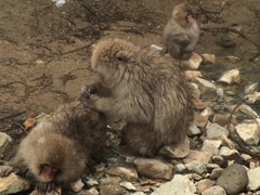 20160210_014522237_iOS