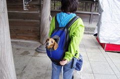 楽々お散歩