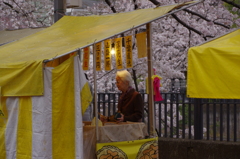 桜・貴婦人・落花生