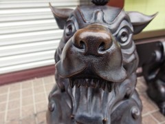 犬